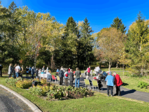A group of people, some sitting, some standing, on walking paths that are set between trees and grass, with a blue sky in the background.