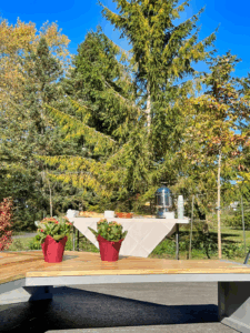 A wooden bench in front of a big tree.