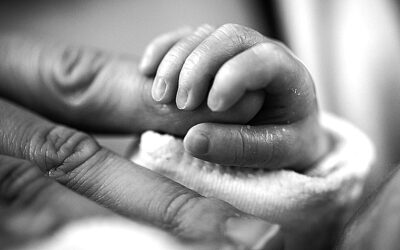 House of Recovery Hopes to Join Providence Village (Podcast)