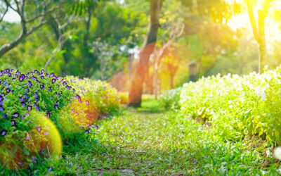 Hospice Chair Allen Prowse Looks to Ground Breaking Spring (Podcast)