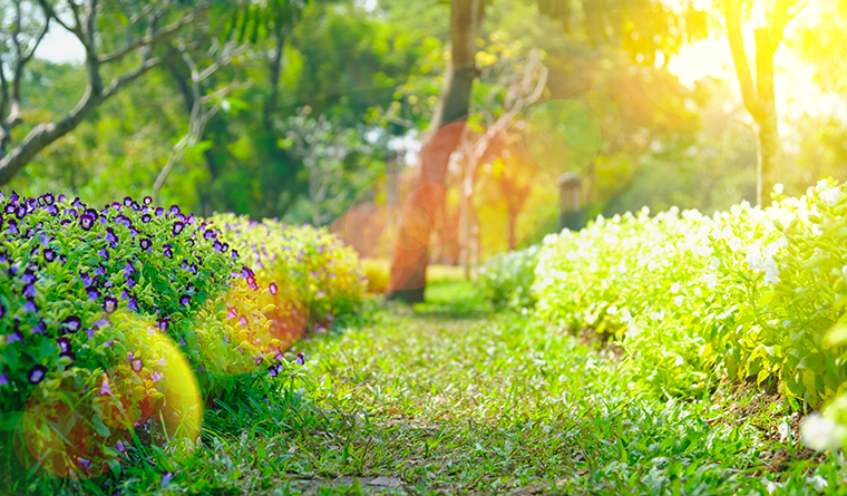 Hospice Chair Allen Prowse Looks to Ground Breaking Spring (Podcast)