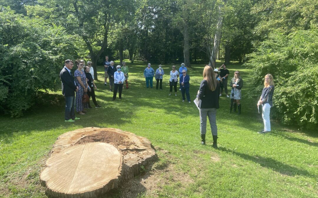 Wonderful feedback from walking tour participants