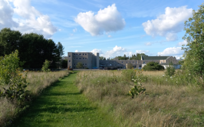 Field of Dreams: The Reinvention of Heathfield; Kingston, Ontario, Canada