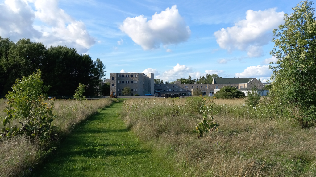 A grass pathway in an open field in front of an old stone building.